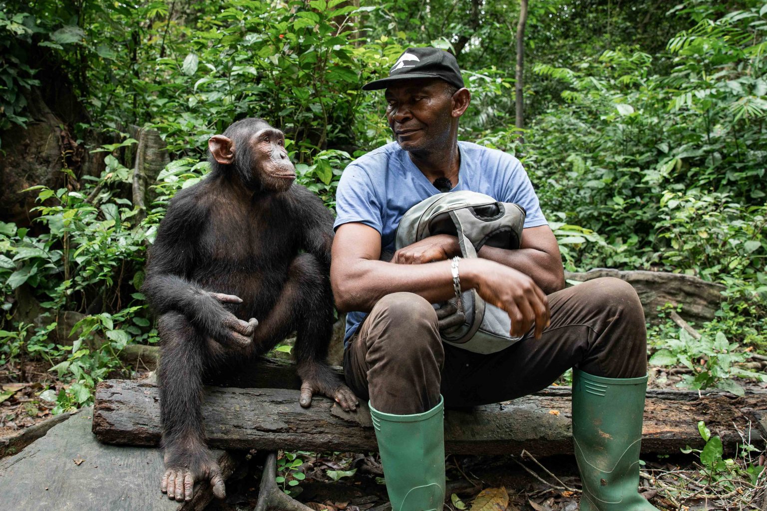 Les forêts du Cameroun Mathieu Courdesses